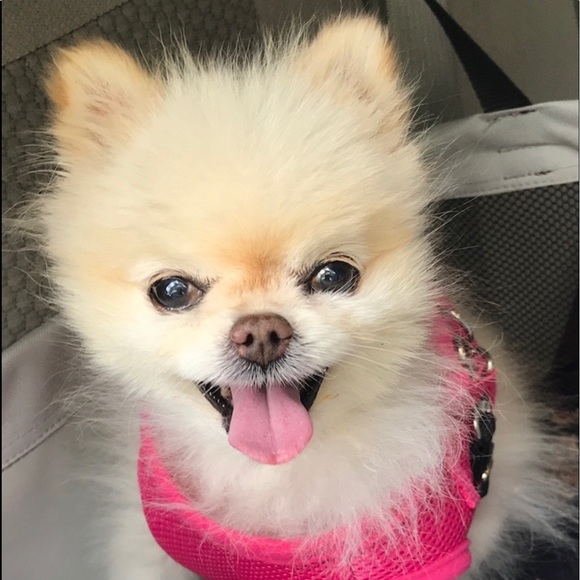 Meet The Posher - Picture 2 of 3